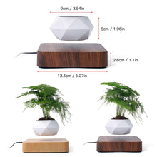 Load image into Gallery viewer, Wheeling Plant Pot - Rotation Lucky Draw (150 Slots)