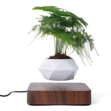 Load image into Gallery viewer, Wheeling Plant Pot - Rotation Lucky Draw (150 Slots)
